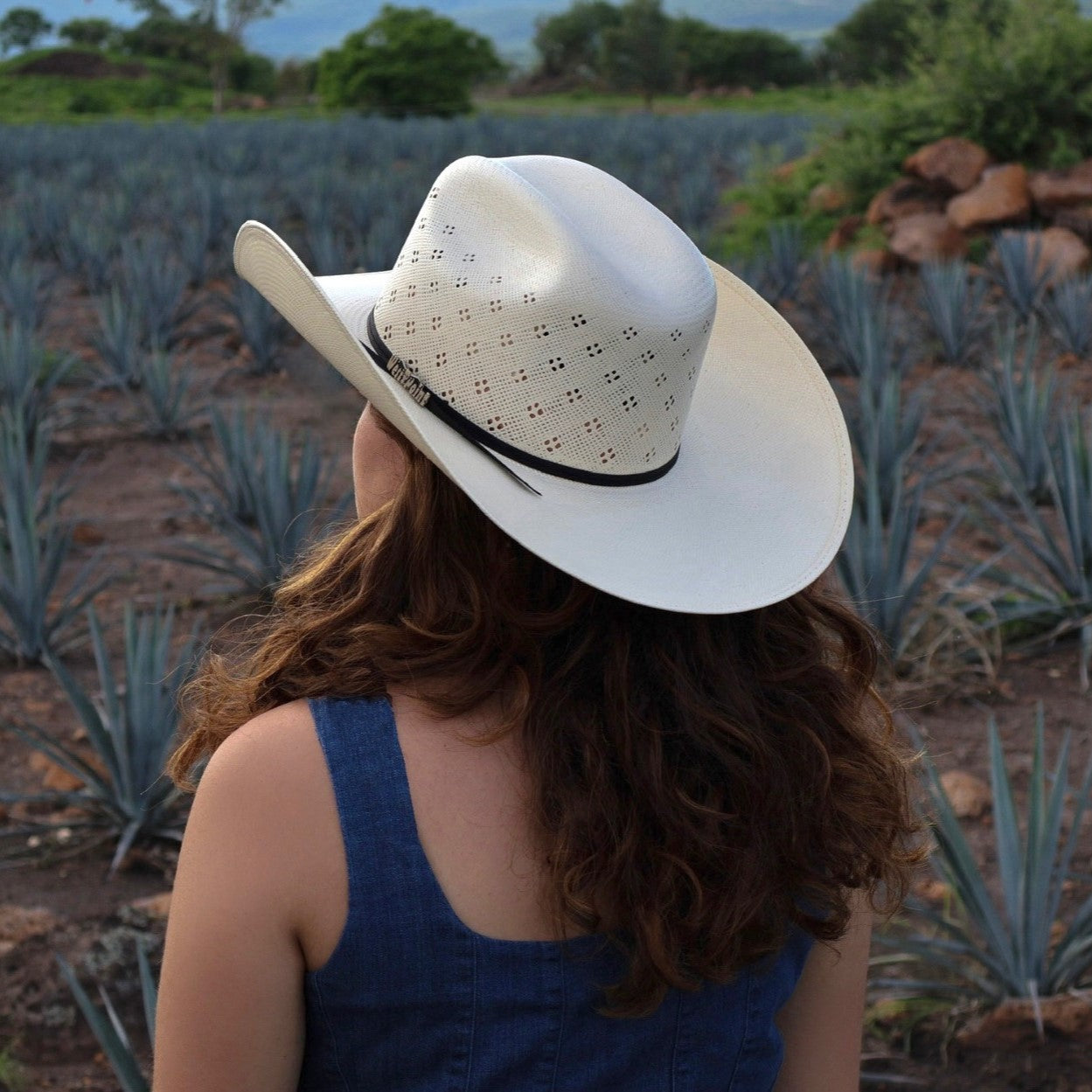 Oscar Full Flower 100X