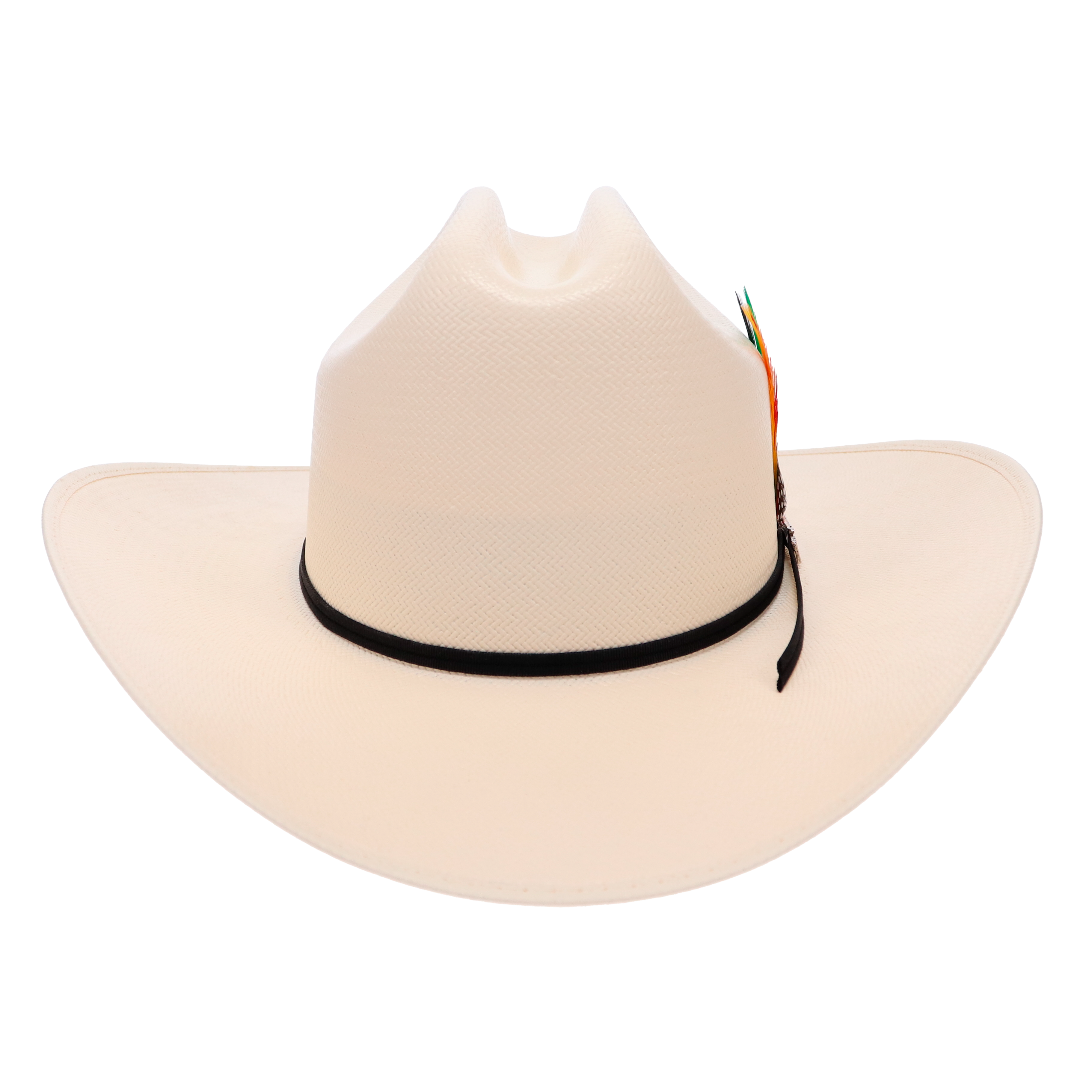 Ranchera Atejanado 100X