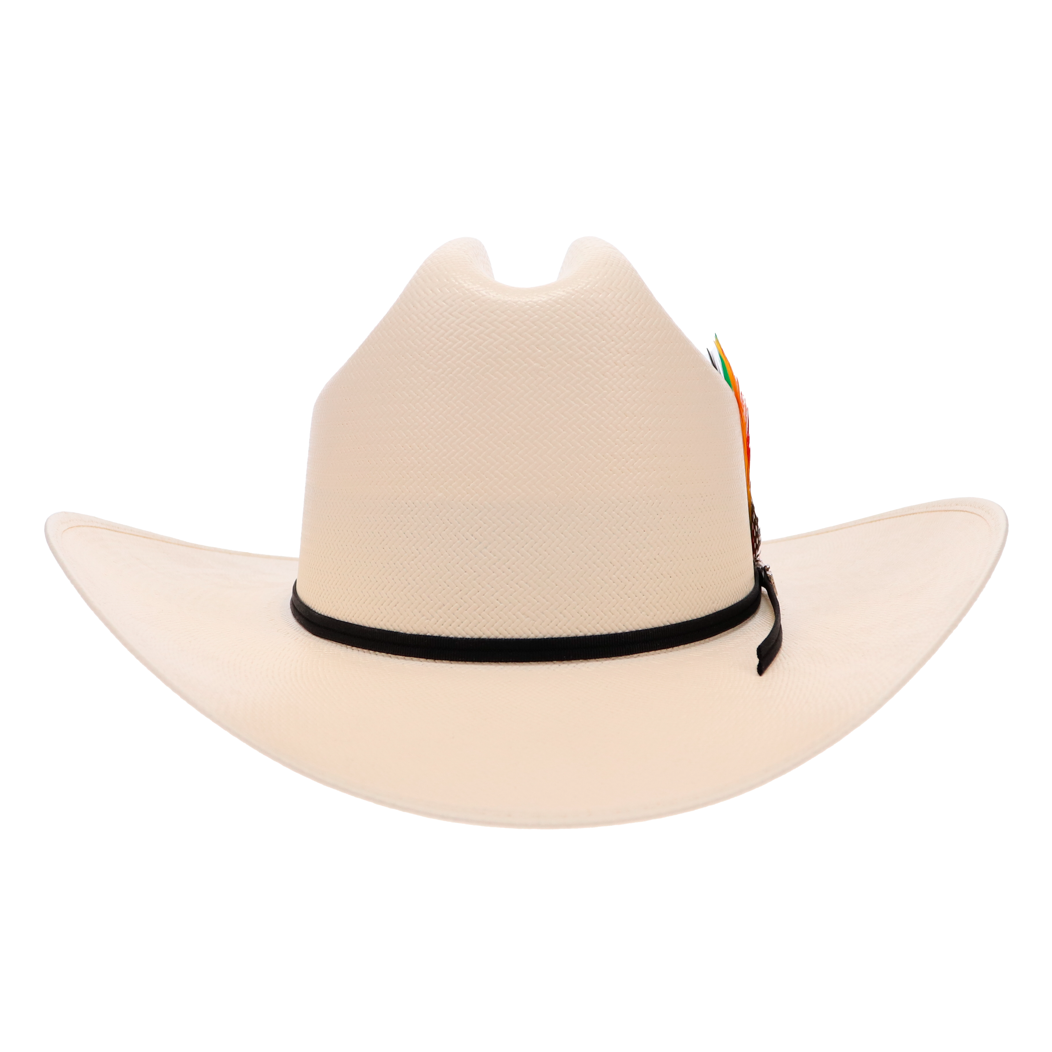 Ranchera Atejanado 100X