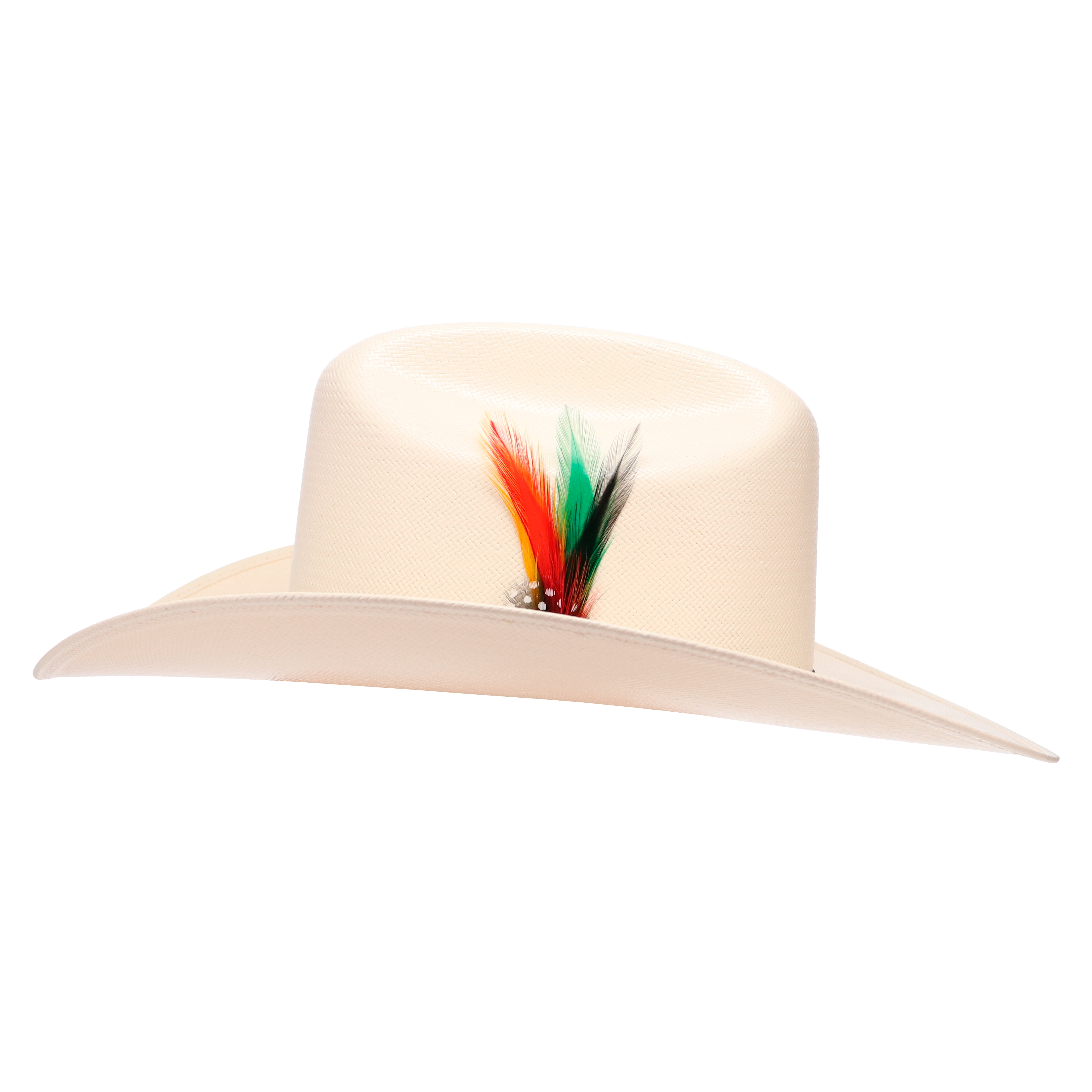 Ranchera Atejanado 100X