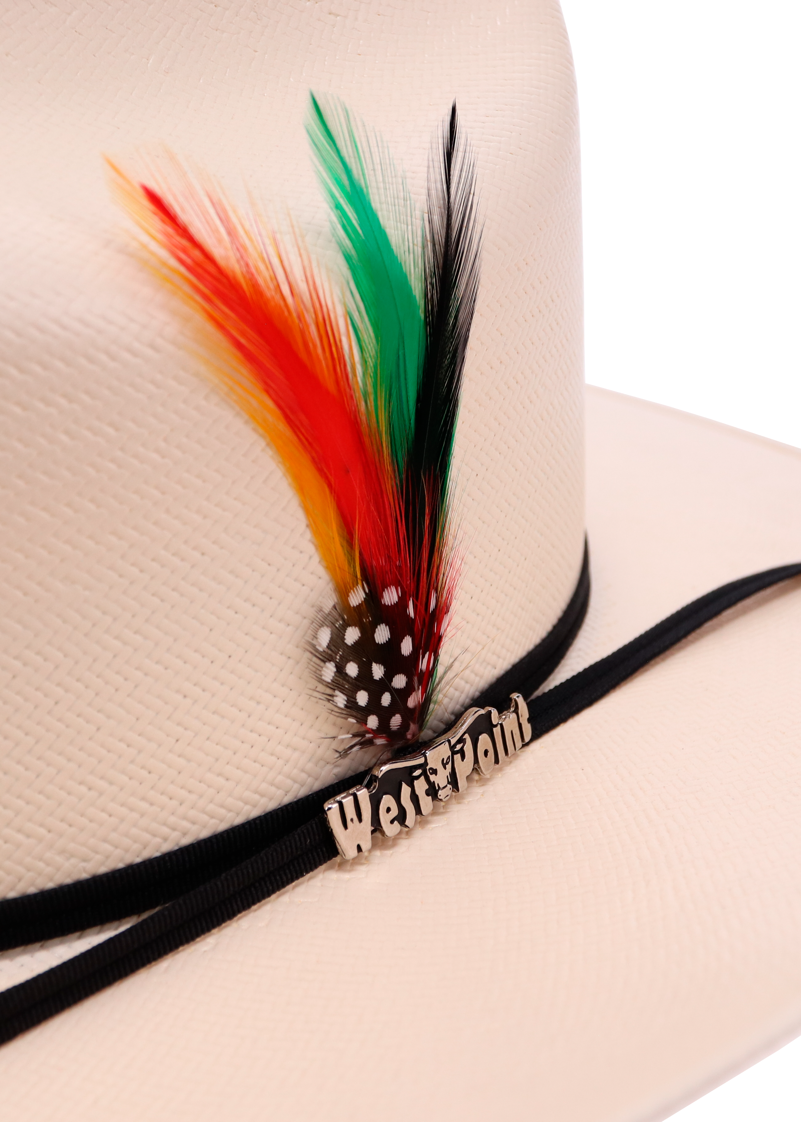 Ranchera Atejanado 100X