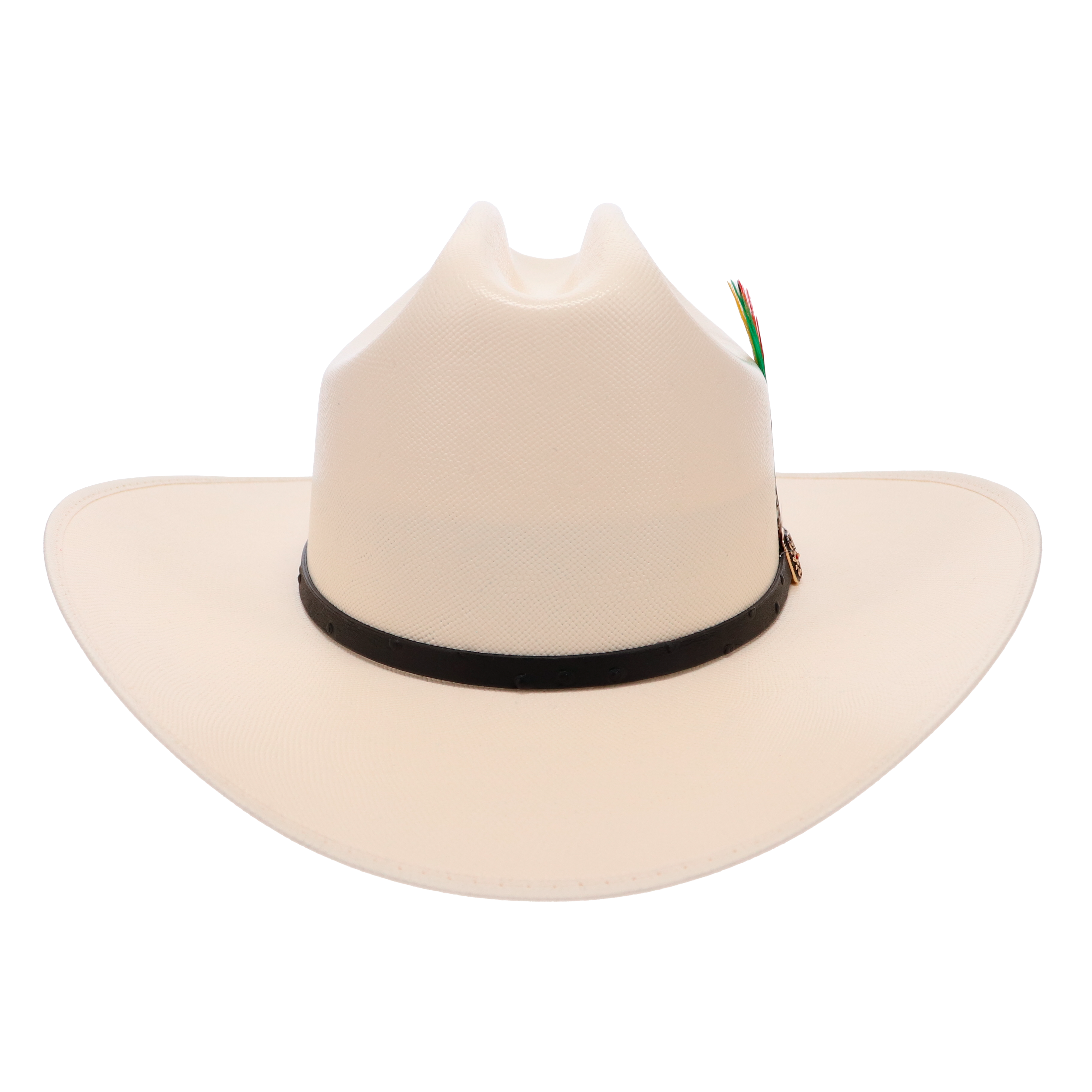 Ranchera Atejanado 300X