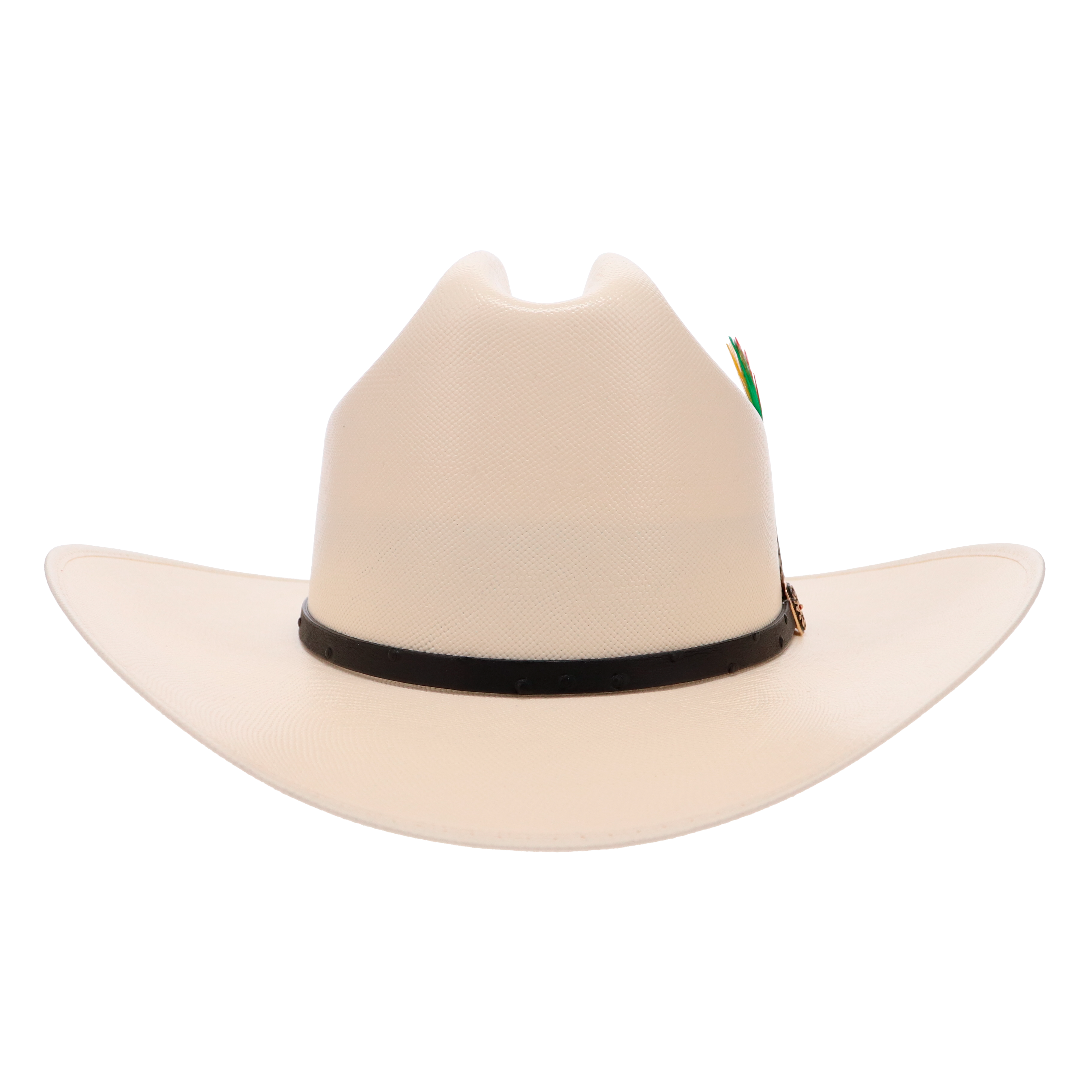 Ranchera Atejanado 300X