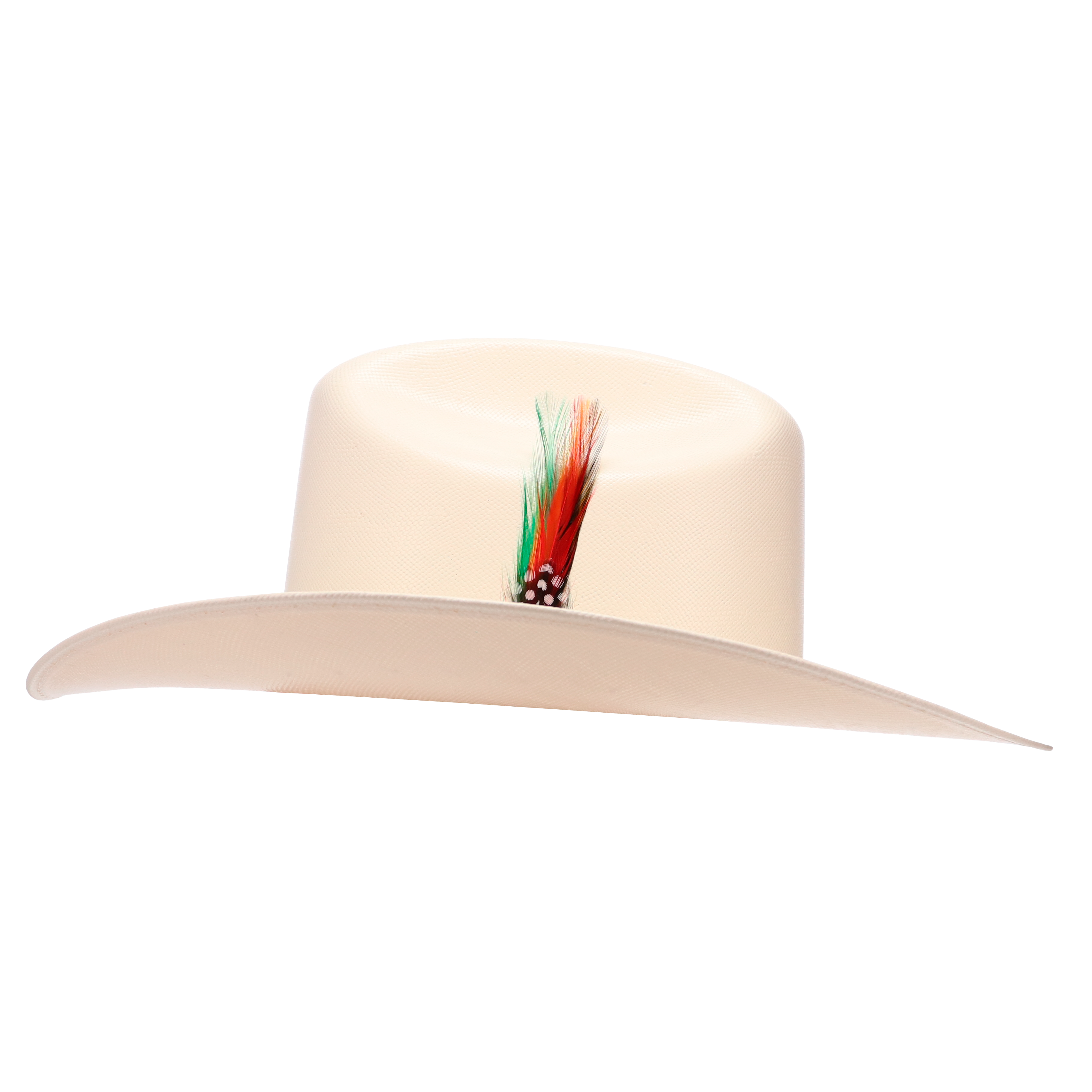 Ranchera Atejanado 300X