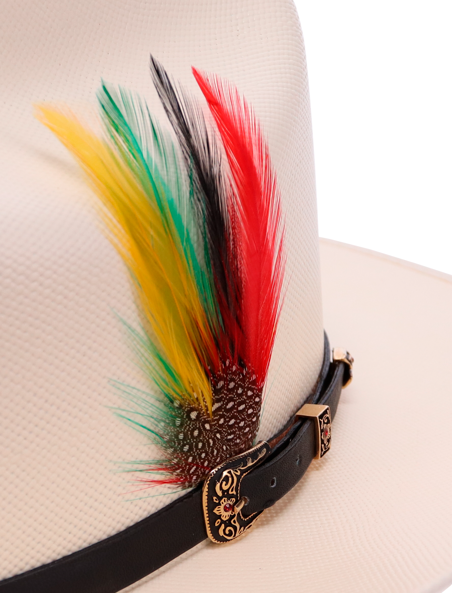 Ranchera Atejanado 300X